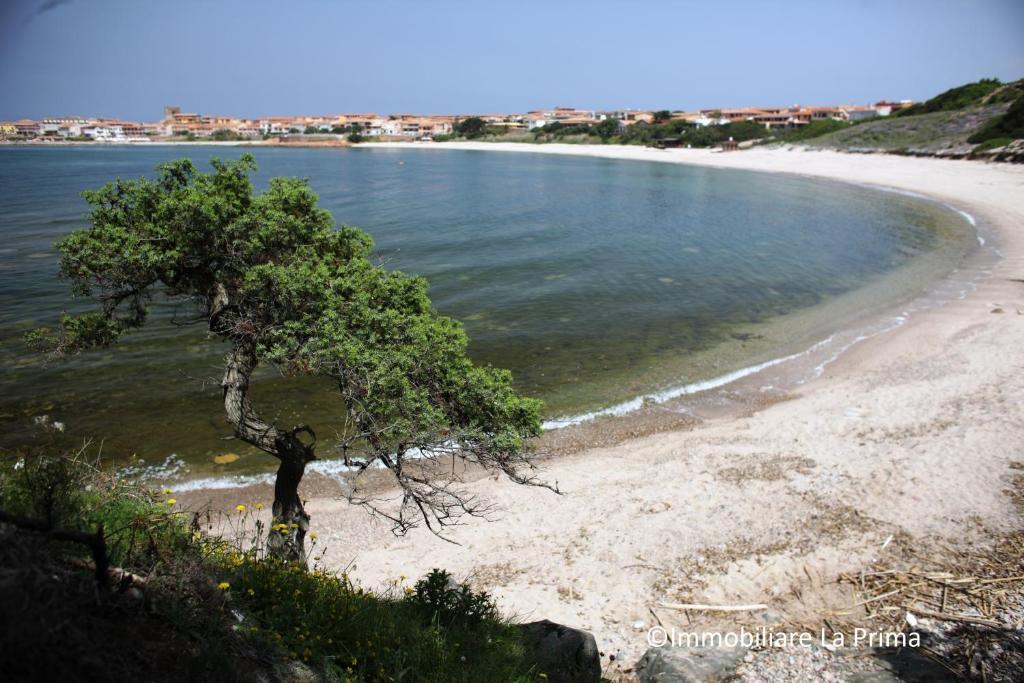 Appartamenti Ideal Isola Rossa Exterior foto